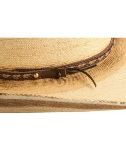 Resistol Men's Jason Aldean Georgia Boy Palm Hat 3 Resistol Men's Jason Aldean Georgia Boy Palm Hat -Velora Studio Shop 099C47 19 D1