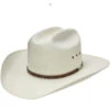 Stetson Men's 10X Haywood Straw Cowboy Hat