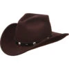 Silverado Men's Rattler Chocolate Wool Crushable Hat